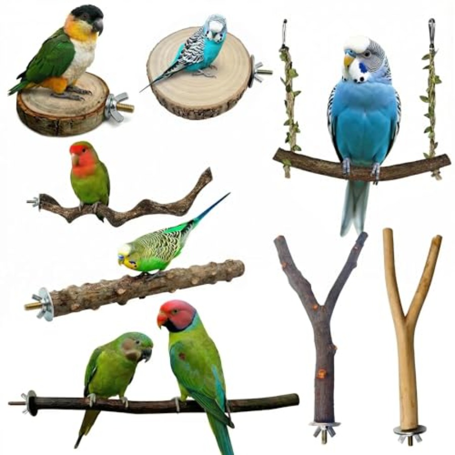 8PCS natural wood bird perches - огляд і ціна Health & Wellness Lafayette