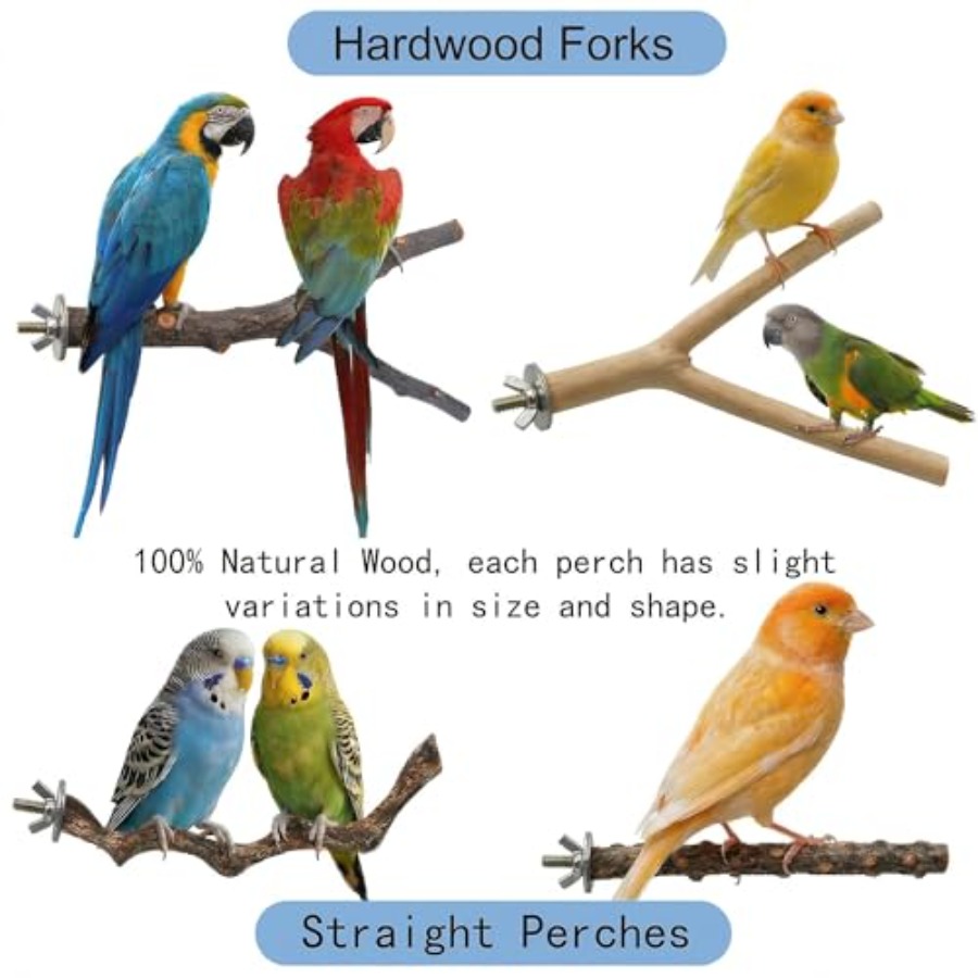 8PCS natural wood bird perches - огляд і ціна Health & Wellness Lafayette